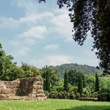 Cappuccini 4* Cologne