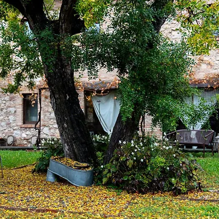 Cappuccini