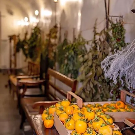 Resort Cappuccini 4*
