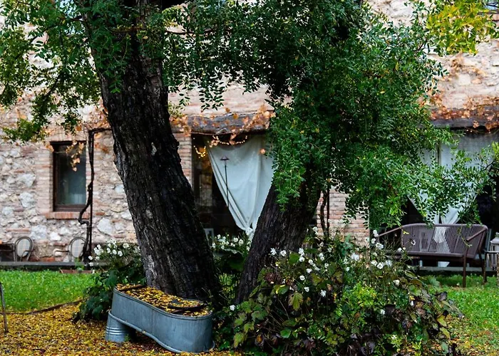 Cappuccini